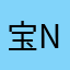 宝贤 Ng