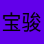 宝骏用户