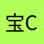 宝cess