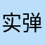 实弹尼