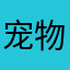 宠物乖豆豆