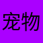 宠物在哪里买？