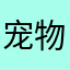 宠物石