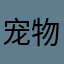 宠物记录12