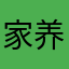 家养鹦鹉