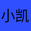 小凯凯的话
