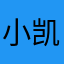 小凯的凯夫人