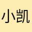 小凯135