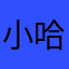 小哈0003