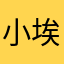 小埃弗顿