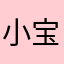 小宝会飞