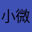 小微胖