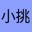 小挑子666