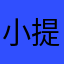 小提美