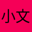 小文子2020CPA
