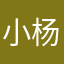 小杨同志945