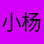 小杨3683