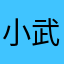 小武先生