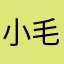 小毛帅