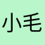 小毛球123