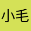 小毛joe