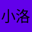 小洛il