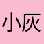 小灰猫咕噜咕噜