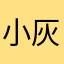 小灰鸽晒太阳