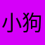 小狗烩面