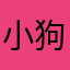 小狗爱跳舞