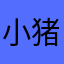小猪别吃了