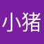 小猪包233