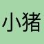 小猪咪呀