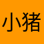 小猪在曼联