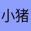 小猪头6666666