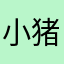 小猪很奈斯