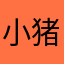 小猪拍拍店