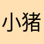 小猪猪。。。。