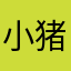 小猪猪美美der