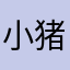 小猪玉玉