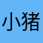 小猪盖被iPad