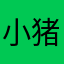 小猪雁奇