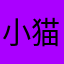 小猫记113