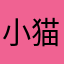 小猫8954