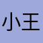 小王大车迷