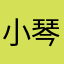 小琴子。。。。。。
