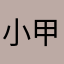 小甲虫的毛孩子