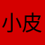 小皮儿童