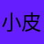 小皮水