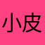 小皮皮皮小皮